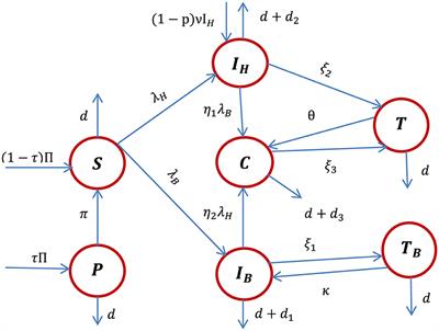 A dynamical optimal control theory and cost-effectiveness analyses of the HBV and HIV/AIDS co-infection model